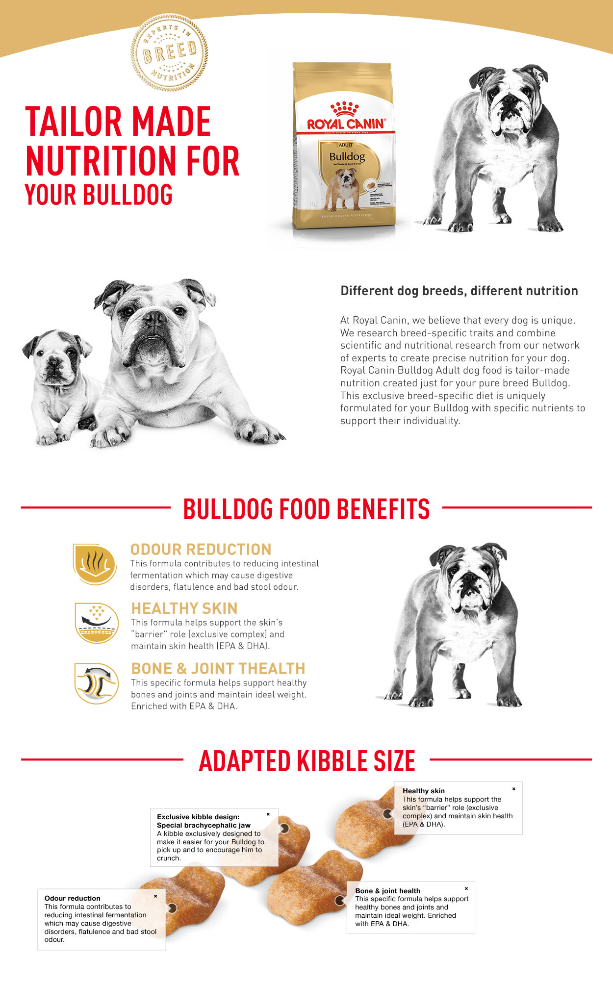 English bulldog dog on sale food